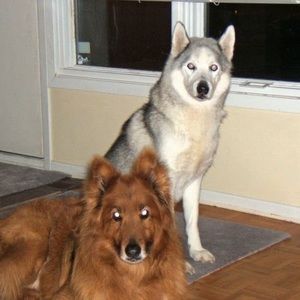 Meet your Posher, Paul